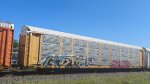 CSX B6670 (Body) TTGX 975086 (Flat)